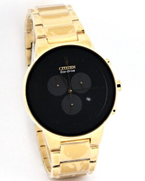 Citizen Eco Drive Wrist Watch