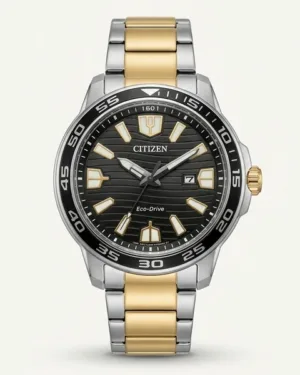 Citizen Black Dial Watch