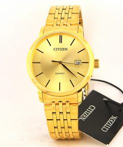Citizen All Golden Watch