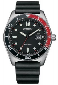 Citizen Eco-Drive Men's Watch