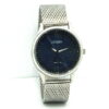 Citizen Eco-Drive Men's Wrist Watch