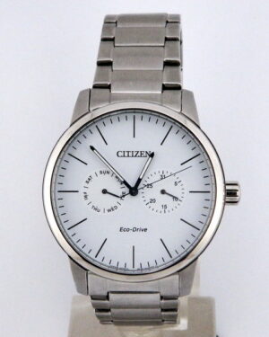 Citizen Eco-Drive Steel Watch