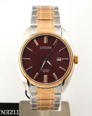 Citizen Mehroon Dial Men's Watch