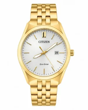 Citizen Eco-Drive Men's Watch