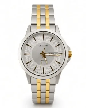 Two Tone Citizen Men's Watch