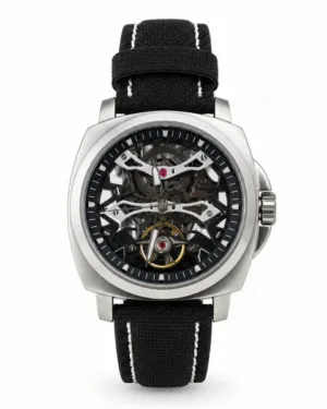 Pagani Design Automatic Men's Watch